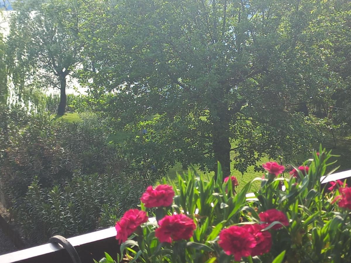 Appartamento Miralago Con Giardino Sul Lago Gavirate Exterior photo